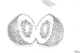 kiwi Kleurbladsye Om Te Druk